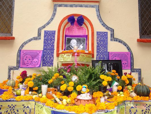 Ofrendas de Dia de Muertos/Day of the Dead Offerings (04-18)
En la Casa de Cultura ' Jesús Reyes Heroles'  mex4you pudo ver ofrendas dedicadas al historiador y politólogo. 

In the Culture House ' Jesús Reyes Heroles' mex4you could see offerings dedicated to the historian and politician.
Keywords: Ofrendas de Dia de Muertos/Day of the Dead Offerings