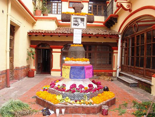 Ofrendas de Dia de Muertos/Day of the Dead Offerings (05-18)
En dichas ofrendas pudimos deleitarnos con el olor de la flor de cempasuchitl y el incienso. 

In the offerings we could  perceive the scent of the cempasuchitl flower and the incense.
Keywords: Ofrendas de Dia de Muertos/Day of the Dead Offerings