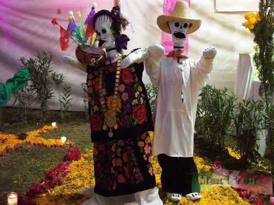Dia de Muertos/Day of the Dead 2 - 9
También a lo largo de la avenida "Camarones"   pudimos observar ofrendas de y representaciones de la muerte creada por los habitantes de la delegación azcapotzalco

Throughout the  "Camarones" avenue we could observe offerings  and 
representations of the death created by the inhabitants of the Azcapotzalco delegation.

Keywords: Ofrendas en Azcapotzalco.
