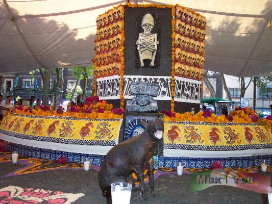 2 de Noviembre/ November 2nd Day of the Dead 02 - 10
En el "Pueblo" de Coyoacán vimos esta estupenda Ofrenda de muertos elaborada por los comerciantes y artesanos del centro de Coyoacán  en la cual se veían elementos de nuestra cultura prehispánica. 

In the "Town" of Coyoacán we saw this wonderful dead Offering
 elaborated by the retailers and craftsmen of the  Coyoacán
 town in which we could see  elements of our pre-Hispanic culture. 
Keywords: Ofrenda de Muertos en Coyoacán. Offerings in Coyoacán