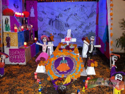 Dia de Muertos/Day of the Dead 3 - 9
Las ofrendas incluÃ­an las tradicionales flores de los muertos o cempasÃºchil, el pan de muerto, las calaveritas de dulce , el incienso, etc. 

The offerings included the traditional flowers of deads or cempasÃºchil, the dead bread, the candy skulls, the incense,
etc. 

Keywords: Ofrendas  dia  muertos day dead offerings noviembre november