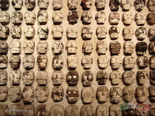 Museo del Templo Mayor / Templo Mayor museum 01
Keywords: Museo Templo Mayor  museum