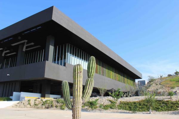 SE REACTIVA CENTRO DE CONVENCIONES DE LOS  CABOS
Congreso se realizarÃ¡ del 10 al 12 de abril,
donde se reÃºnen 600 especialistas en planeaciÃ³n y organizaciÃ³n de bodas, provenientes de 65 paÃ­ses, lo que contribuirÃ¡ a la consolidaciÃ³n de Baja California Sur a nivel internacional en el segmento de turismo de reuniones
y convenciones.
Keywords: CONVENCIONES DE LOS CABOS