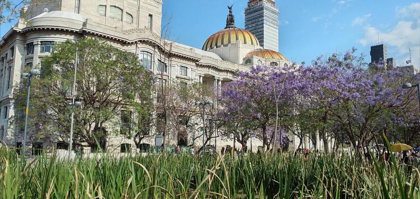 Alameda Central (02)
Keywords: alameda central mex4you