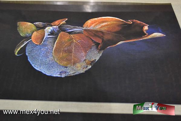 Laura EcheverrÃ­a "Entretiempos" (01-05)
Laura EcheverÃ­a plasma su trabajo de una manera muy meticulosa y creativa.

Text and Photo by: YanÃ­n RamÃ­rez
Keywords: laura echeverria exposiciÃ³n entretiempos biblioteca lerdo tejada cajas artisticas