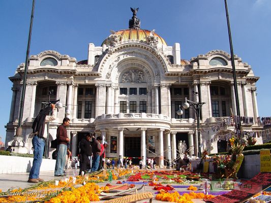 Dia de Muertos en la Ciudad de MÃ©xico 2005 / Day of the Dead in Mexico City 2005 (07-15)
TambiÃ©n en el Palacio de Bellas Artes pudimos observar una ofrenda con caracter polÃ­tico. 

Also in the Palace of Beautiful Arts we could observe an offering with political character.
Keywords: Dia  Muertos  Ciudad de Mexico    Day  Dead  Mexico City 2005 bellas artes fine arts