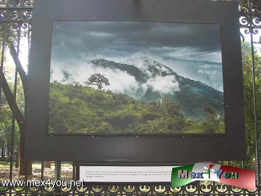 ExposiciÃ³n FotogrÃ¡fica Tierra de Dioses (03-05)
Un gran impacto visual situa cada una de las exposiciones fotograficas que han transcurrido al aÃ±o. Aproximadamente 650 mil  personasdurante un mes y medio que tiene duraciÃ³n las exposiciones y estÃ¡ no serÃ¡ la decepciÃ³n.

Text and Photo by: YanÃ­n RamÃ­rez
Keywords: rejas de chapultepec exposiciÃ³n fotografica oaxaca Fernando Franco Sevilla secretaria cultura
