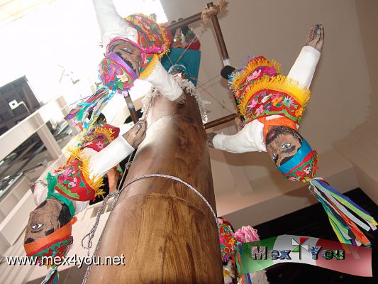PiÃ±atas en el Museo de Arte Popular (MAP) (07-07)
Photo by: Antonio Pacheco
Keywords: piÃ±atas museo arte popular concurso navidad posadas christmas