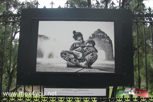 Exposición Fotográfica Encuadres y miradas (04-05)
Cada unas de estás imágenes expresa el amor y profesionalismo por plasmar una historia que va más allá del lente fotográfico; cada una impacta a su manera y se pregunta que hay detrás de esa imágen.

Text and Photo by:Yanín Ramírez
Keywords: fotoperiodistas mexicanas rejas de chapultepec exhibición encuadres y miradas dia internacional mujer