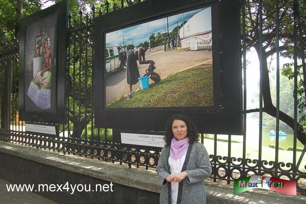 Exposición Fotográfica Encuadres y miradas (05-05)
Visita está exhibición que permanecerá hasta el domingo 5 de abril en la Galería Abierta de las Rejas de Cjapultepec (en avenida Paseo de la Reforma).

Text and Photo by:Yanín Ramírez
Keywords: fotoperiodistas mexicanas rejas de chapultepec exhibición encuadres y miradas dia internacional mujer