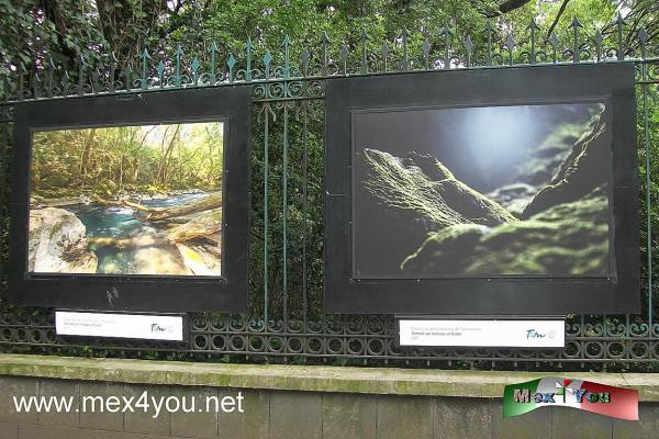 Un vistazo a Tamauliapas en Reforma (02-05)
EstÃ¡ exhibiciÃ³nn son las ganadoras del Concurso "Echale un vistazo al Cielo" organizado por el gobierno de Tamaulipas,  con National Geographic y FundaciÃ³n Televisa. 


Text and Photo by: YanÃ­n RamÃ­rez
Keywords: gÃ³mez farias tamaulioas biosfera reserva natural rejas de chapultepec exhibiciÃ³n fotografiaca echale un vistazo al cielo