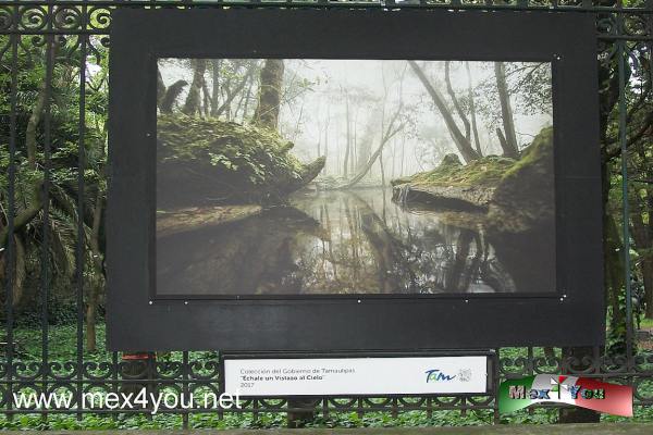 Un vistazo a Tamauliapas en Reforma (03-05)
Imagenes que nos lleva a conocer puntos de nuestra Republica que algunos de los traseuntes de Reforma no han visitado al Estado de Tamaulipas y mucho menos conocer la Reserva Natural, asÃ­ que tenemos la oportunidad de un recorrido visual por el predominante color verde de los paisajes fotografiados.

Text and Photo by: YanÃ­n RamÃ­rez
Keywords: gÃ³mez farias tamaulioas biosfera reserva natural rejas de chapultepec exhibiciÃ³n fotografiaca echale un vistazo al cielo