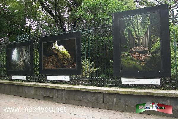 Un vistazo a Tamauliapas en Reforma (05-05)
Se extendiÃ³ su exhibiciÃ³n hasta el 09 de septiembre del presente aÃ±o.
La GalerÃ­a del Bosque de Chapultepec estÃ¡ muy cerca del metro Auditorio.

Text and Photo by: YanÃ­n RamÃ­rez
Keywords: gÃ³mez farias tamaulioas biosfera reserva natural rejas de chapultepec exhibiciÃ³n fotografiaca echale un vistazo al cielo