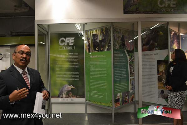 En el TÃºnel de la Ciencia presenta CFE Verde (02-05)
Lic. Laura Espino Rubio (Directora del MUTEC), indicÃ³ que estÃ¡ exposiciÃ³n grÃ¡fica genera la curiosidad para llegar al conocimiento y por tanto genera creatividad. 

Text and Photo by: YanÃ­n RamÃ­rez
Keywords: CFE Mutec tÃºnel ciencia estaciÃ³n raza metro exposiciÃ³n cfe verde