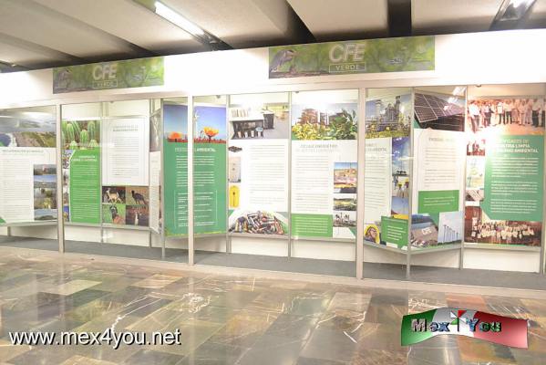 En el TÃºnel de la Ciencia presenta CFE Verde (04-05)
CFE, en San Luis PotosÃ­, colocÃ³ 1,207 espirales de plÃ¡stico como dispositivos  anticolisiÃ³n de aves a cada 5 metros en los tramos de mayor riesgo.

Text and Photo by: YanÃ­n RamÃ­rez
Keywords: CFE Mutec tÃºnel ciencia estaciÃ³n raza metro exposiciÃ³n cfe verde