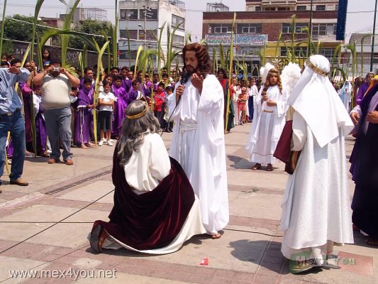 Domingo de Ramos/Palm Sunday :Iztapalapa 2006 01-09
Con el Domingo de Ramos inicia la representaciÃ³n de la PasiÃ³n de Cristo en la DelegaciÃ³n Iztapalapa. 

With the Palm Sunday begins  the representation of the Passion of Christ in the Iztapalapa Delegation. 
Keywords: Semana  Santa Domingo Ramos Palm Sunday Iztapalapa 2006