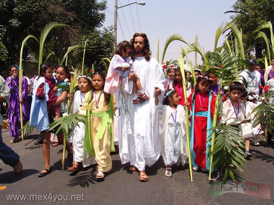Domingo de Ramos/Palm Sunday :Iztapalapa 2006 02-09
Por las principales avenidas de esta delegaciÃ³n se lleva a cabo la representaciÃ³n de los principales pasajes bÃ­blicos de la vida de JesÃºs.

By the main avenues of this delegation is carried out the representation of the main Biblical passages of the life of Jesus. 
Keywords: Semana  Santa Domingo Ramos Palm Sunday Iztapalapa 2006