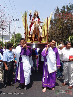 Domingo de Ramos/Palm Sunday : Iztapalapa 2006 03-09
Los Nazarenos cargan en hombros la imÃ¡gen de JesÃºs y se dirigen hacia el templo del SeÃ±or de Cuevita.

The Nazarenos loads on their  shoulders the image of Jesus and they go towards the " SeÃ±or de la Cuevita " temple . 
Keywords: Semana  Santa Domingo Ramos Palm Sunday Iztapalapa 2006