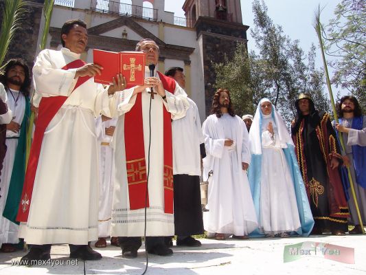 Domingo de Ramos/Palm Sunday :Iztapalapa 2006 04-09
En el templo del SeÃ±or de la Cuevita se lee una parte de los evangelios y se bendicen las palmas.

In the " SeÃ±or de la Cuevita " are read a part of the gospels and the palms are blessed. 
Keywords: Semana  Santa Domingo Ramos Palm Sunday Iztapalapa 2006