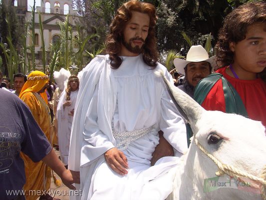 Domingo de Ramos/Palm Sunday :Iztapalapa 2006 08-09
JesÃºs sale montado en un burro blanco.

Jesus leaves mounted in a white donkey. 
Keywords: Semana  Santa Domingo Ramos Palm Sunday Iztapalapa 2006