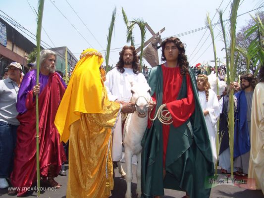 Domingo de Ramos/Palm Sunday :Iztapalapa 2006 09-09
El recorrido sigue por la avenida Ermita Iztapalapa hacia los barrios de esta delegaciÃ³n.

The route follows by the Ermita Iztapalapa avenue   towards the neighborhoods  of this delegation.
Keywords: Semana  Santa Domingo Ramos Palm Sunday Iztapalapa 2006