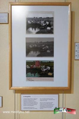 Exposición Lavanderas Mexicanas siglo XIX (03-05)
Este trabajo era exclusivo de mujeres, muy poco se sabe o se documento que los hombres tuvieran esta labor.



Text and Photo by: Yanín Ramírez
Keywords: exposición lavanderas mexicanas siglo XIX lavandería lavar ropa mujeres lavando ropa museo de la mujer