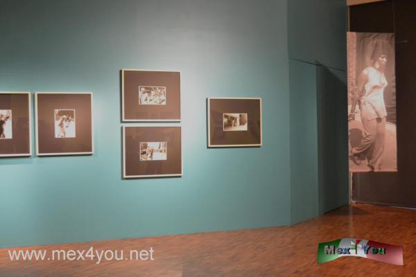 Garry Winogrand en  el Museo Arte Moderno (04-05)
La muestra con impresiones vintage;  plasma una crÃ³nica visual de la cultura urbana y de la liberaciÃ³n femenina hace recobrar la atmÃ³sdera vibrante.

Text and Photo by: YanÃ­n RamÃ­rez
Keywords: museo arte moderno exposiciÃ³n garry winogrand lola garrido fotografÃ­a callejera