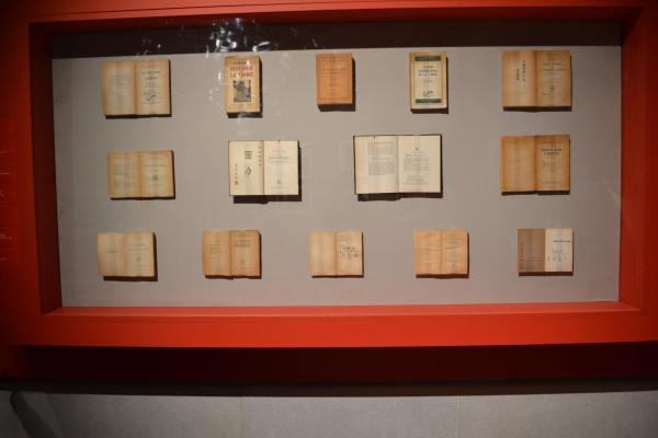Farabeuf: 50 aÃ±os de un instante (05-05)
La exposiciÃ³n muestra la trascendencia de la obra literaria de Salvador Elizond dentro de la Literatura  Hispanoamericana del siglo XX.

Text by: YanÃ­n RamÃ­rez
Keywords: museo palacio bellas artes farabeuf salvador elizondo literatura hispanoamericana