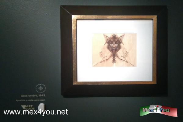 ExposiciÃ³n Adictos a Remedio Varo (04-05)
Y  55 piezas prehispÃ¡nicas, 75 fotografÃ­as, siete documentos, 79 libros y 220 objetos personales de Varo. 


Text and Photo by: YanÃ­n RamÃ­rez
Keywords: remedios varo abstracto museo arte moderno boceto