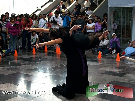 Sexta Muestra de Artes EscÃ©nicas , SubterrÃ¡neo (03-03)
Las siguientes presentaciones se llevarÃ¡ a cabo en la lÃ­nea 1 de Tacubaya el miercoles 16 de noviembre, Centro MÃ©dico lÃ­nea 9 el jueves 17, Universidad el viernes 18, La Raza sÃ¡bado 19 y para cerrar en la estaciÃ³n Chapultepec el domingo 20 de noviembre. 

Text & photo by: YanÃ­n RamÃ­rez 
Keywords: sexta muestra escenicas subterraneo metro subway theater