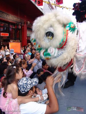 AÃ±o Chino en MÃ©xico/ Chinese Year in Mexico 2007    03-09
Keywords: AÃ±o Chino  Mexico Chinese Year Mexico 2007 china