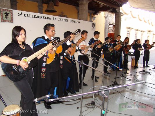 "Callejoneadas"  CoyoacÃ¡n 2006 .
A las 6 de la tarde se llevÃ³ a cabo la tercera callejoneada en el JardÃ­n Hidalgo de CoyoacÃ¡n.

At 6 o'clock was carried out the third " callejoneada " in the Hidalgo Park in CoyoacÃ¡n. 
Keywords: Callejoneadas CoyoacÃ¡n 2006