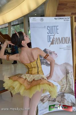 Danza de Gala "Suite de Raymonda" (02-05)
Raymonda es una coreografÃ­a de Fernando Bujones realizada en 1997 y ahora se presenta nuevamente con mÃºsica para violonchelo de Johann Sebastian Bach.

Text and Photo by: YanÃ­n RamÃ­rez
Keywords: ballet clÃ¡sico CND suite Raymonda Palacio de Bellas Artes Joshua Beamish