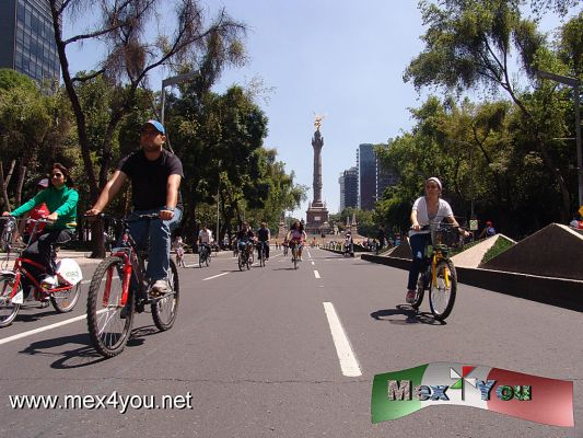 Domingo de CiclotÃ³n 
Keywords: domingo bicicleta cycle ciclismo ciclista cicloton dominical paseo reforma ciclotÃ³n