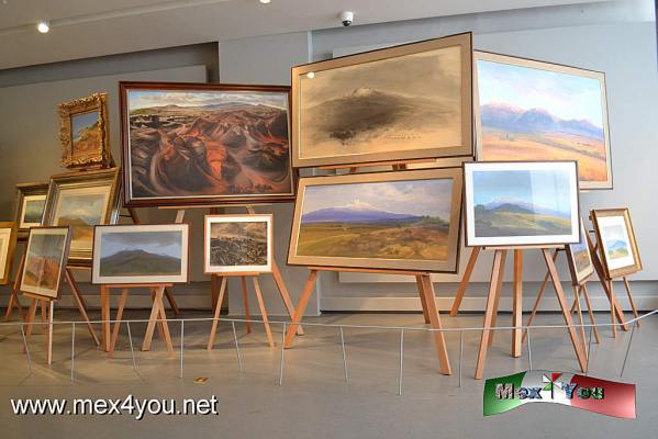 Poeta del silencio Luis Nishizawa (02-05)
Montada en ocho salas, con mÃ¡s de 130 piezas que incluyen desde su obra temprana hasta la mÃ¡s reciente

Text and Photo by: YanÃ­n RamÃ­rez
Keywords: luis nishizawa museo shcp secretaria hacienda credito publico