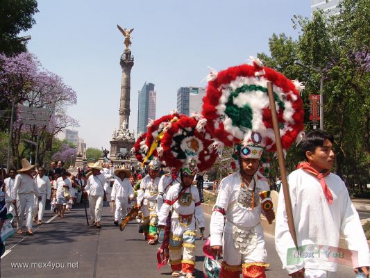 Primavera en la Ciudad de MÃ©xico/Spring in Mexico City (07-14)
Junto con el grupo de actores iban tambiÃ©n grupos de danzantes y de bandas de Oaxaca haciendo las delicias de la gente asistente.

Along with the group of actors there were  also groups of dancers and bands from Oaxaca doing the delights of attending people. 
Keywords: Primavera en la Ciudad de MÃ©xico/Spring in Mexico City angel de la independencia independence paseo de la reforma