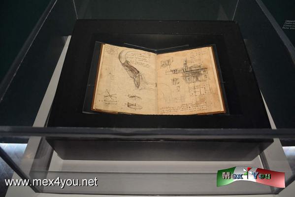 La idea de la Belleza "Leonardo da Vinci (03-05)
Para Leonardo da Vinci la belleza era el efecto visual de proporciones armoniosas, por ello la exposiciÃ³n se denomina la idea de la belleza; desde su punto de vista del artista italiano.

Text and Photo by: YanÃ­n RamÃ­rez
Keywords: leonardo da vinci museo palacio bellas artes bocetos da vinci biblioteca real de turÃ­n