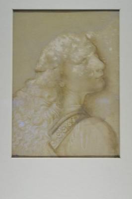 La idea de la Belleza "Leonardo da Vinci (04-05)
La obra exhibida proviene de la Biblioteca Real de TurÃ­n. Acerca del "El CÃ³dice sobre el vuelo de las aves" estÃ¡ conformado por 18 pÃ¡ginas con dibujos y escritos que muestran una reflexiÃ³n sobre las aves y la mecÃ¡nica de sus alas para poder crear una mÃ¡quina para volar.

Text and Photo by: YanÃ­n RamÃ­rez
Keywords: leonardo da vinci museo palacio bellas artes bocetos da vinci biblioteca real de turÃ­n