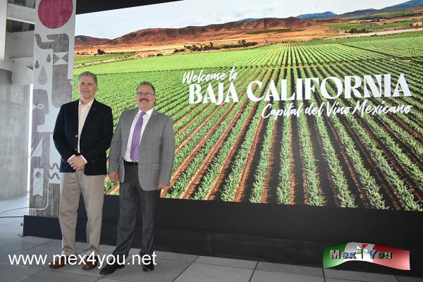 XXXIII Fiestas de la Vendimia en Baja California (02-05)
La Secretaría de Turismo de Baja California y el Comité Provino, anunciaron la XXXIII edición de las Fiestas de la Vendimia en
Ensenada. Este emblemático evento, clave para el sector vitivinícola, se llevará a cabo del 29 de julio al 26 de agosto y reunirá a las bodegas más importantes de la región.

En datos duros tenemos que Baja California, también conocido como la Capital del Vino Mexicano, es responsable del 70% de la producción vinícola en México y las Fiestas de la Vendimia contribuyen significativamente a la proyección del estado, generando una afluencia turística de alrededor de 120 mil visitantes y una derrama económica aproximada de 800 millones de pesos.


Text & Photos by: Antonio Pacheco
Keywords: XXXIII Fiestas Vendimia Baja California vinos uvas