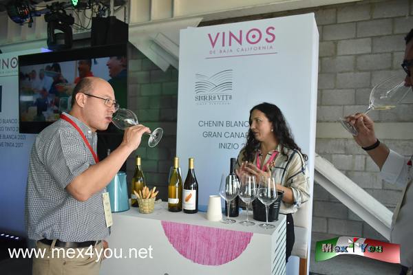 XXXIII Fiestas de la Vendimia en Baja California (05-05)
Por su parte, Mauricio Cantú, Presidente del Comité Provino, expuso que ;"el sector vitivinícola de Baja California ha trabajado para convertirse en una región sustentable. Actualmente contamos con siete valles vinícolas, más de 260 proyectos de vino, 4,500 hectáreas de vid plantadas y una producción que representa el 70% del vino mexicano. Además, nuestros vinos han sido reconocidos con más de 150 medallas en concursos internacionales en lo que va del 2023"

Algunos de los eventos organizados por Provino dentro de las Fiestas de la Vendimia: -Salón del Vino, Visitas enológicas, Muestra del Vino, Concurso de Paellas. 

Para mayor información consultar: www.provinobc.mx/eventos

Text & Photos by: Antonio Pacheco
Keywords: XXXIII Fiestas Vendimia Baja California vinos uvas