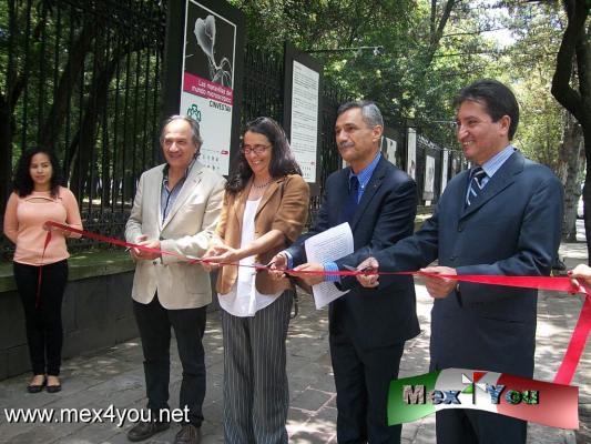 ExposiciÃ³n Mundo MicroscÃ³pico (01-05)
InaugurÃ¡n la ExposiciÃ³n " Las Maravillas del Mundo MicroscÃ³pico" en las Rejas de Chapultepec. Iniciando con el corte de listÃ³n por parte Ricardo FÃ©lix, secretario acadÃ©mico del CINVESTAV, y JosÃ© Manuel RodrÃ­guez, Director de las GalerÃ­as Abiertas de la SecretarÃ­a de Cultura de la Ciudad de MÃ©xico.

Text and Photo by: YanÃ­n RamÃ­rez
Keywords: mundo microscÃ³pico rejas chapultepec exposiciÃ³n CINVESTAV