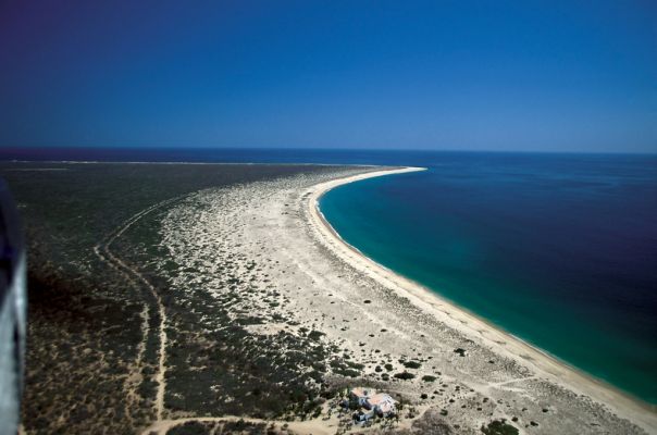  Cabo CortÃ©s es amigable con el Medio Ambiente (02-02)
â€œReiteramos una vez mÃ¡s que tal y como se ha demostrado a travÃ©s de los trabajos y estudios tÃ©cnicos realizados por equipos multidisciplinarios de medio ambiente y desarrollo regional, de reconocimiento internacional, el desarrollo del Proyecto no traerÃ¡ efectos negativos a la zona en general y mucho menos al Parque Nacional Marino de Cabo Pulmo en particularâ€, seÃ±alÃ³ en conferencia de prensa con la fuente especializada en ecologÃ­a, el director de Cabo CortÃ©s, JesÃºs Guilabert Boyer.

Keywords: cabo cortes medio ambiente