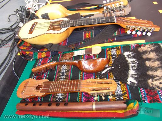 Festival Int. del Charango / Charango Int. Festival 01-05
El Domingo 9 se llevÃ³ a cabo en la DelegaciÃ³n CoyoacÃ¡n el Festival Internacional del Charango.

Last Sunday 9th  was carried out in the CoyoacÃ¡n Delegation the Festival the International of the Charango. 
Keywords: Festival Charango