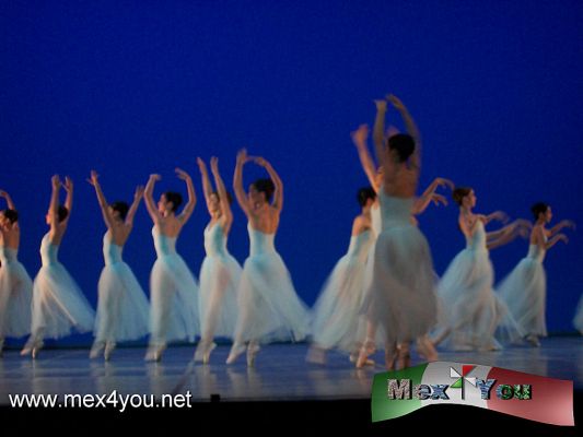 Gala Balanchine (04-04)
â€œLa FundaciÃ³n que administra sus coreografÃ­as en el mundo otorga por tres aÃ±os el derecho a montar las obras del artista ruso, que son mÃ¡s de 400 propuestas, por lo que hay que asistir a estas funciones, que son una oportunidad Ãºnica para disfrutarlasâ€.
 
Durante estas funciones de la Gala Balanchine, la CompaÃ±Ã­a Nacional de Danza invitÃ³ como solista al primer bailarÃ­n espaÃ±ol Gonzalo GarcÃ­a, quien forma parte del New York City Ballet.
 

Photo by: YanÃ­n RamÃ­rez
Keywords: gala balanchine ballet clasico classic palacio bellas artes 