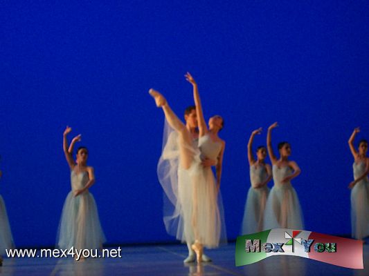 Gala Balanchine (03-04)
â€œBalanchine admiraba sobre manera el cuerpo femenino, su belleza y capacidad de movimiento â€“detallÃ³ Reynaud-, por lo que sus coreografÃ­as estÃ¡n pensadas para resaltar justamente esos atributos, lo cual es en este caso uno de los criterios que seguimos para las obras integradas en este ciclo.
 
â€œOtro aspecto relevante, es que los compositores en que se basÃ³ para estas obras tambiÃ©n eran un elemento fundamental en su creaciÃ³n, como lo ejemplifica la dificultad tÃ©cnica que requieren las danzas, asÃ­ como la intensidad con deben ser interpretadasâ€.




Photo by: YanÃ­n RamÃ­rez
Keywords: gala balanchine ballet clasico classic palacio bellas artes 