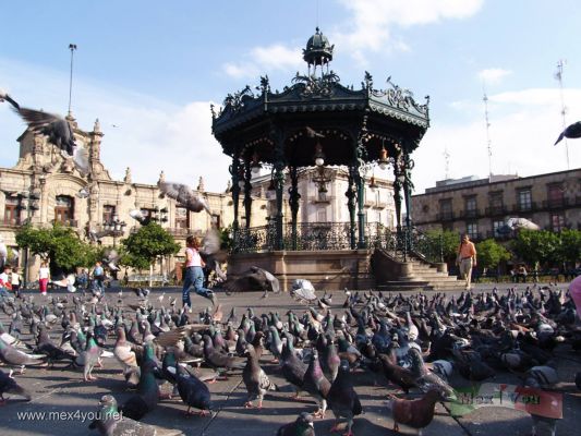 Kiosko en Guadalajara/ Kiosque in Guadalajara
Keywords: guadalajara kiosque kiosko