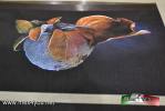 Filename=01-07-15-1.jpg
Filesize=76KiB
Dimensions=1024x683
Date added=Jul 01, 2015 01-07-15-1.jpg