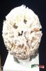 Filename=01-09-17-03.jpg
Filesize=84KiB
Dimensions=768x1152
Date added=Aug 28, 2017 01-09-17-03.jpg