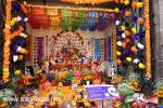 Filename=01-11-2021-05.jpg
Filesize=357KiB
Dimensions=1152x768
Date added=Nov 01, 2021 01-11-2021-05.jpg
