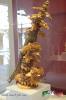 Filename=02-03-15-3.jpg
Filesize=97KiB
Dimensions=683x1024
Date added=Mar 02, 2015 02-03-15-3.jpg